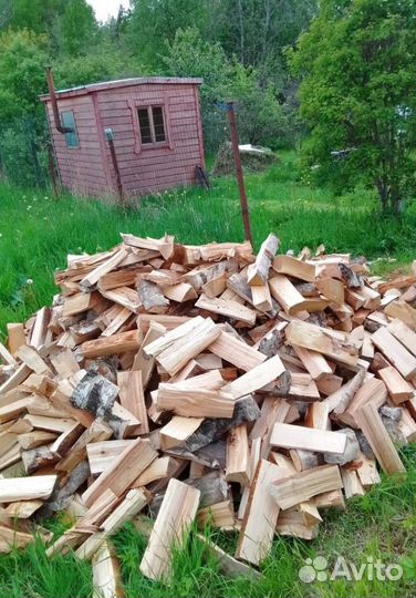 Дрова любые сухие в укладку качественные
