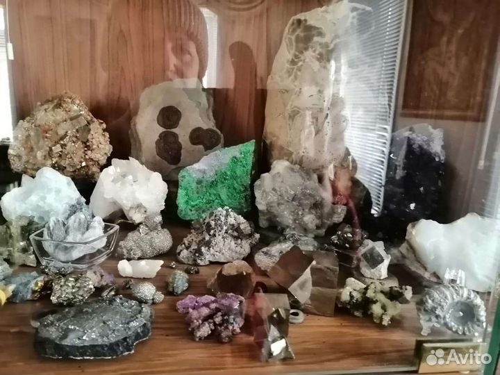 Аммониты. Септарии. Жеоды. Минералы. Окаменелости