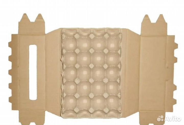 Оборудование для производства упаковки для яиц