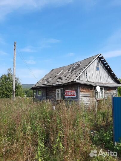 Пчелы улья пасеку