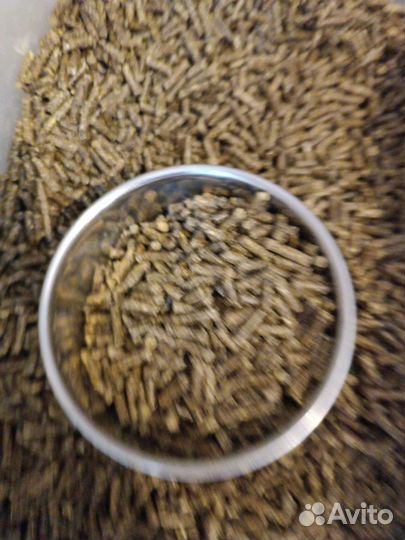 Корм для декоративных кроликов