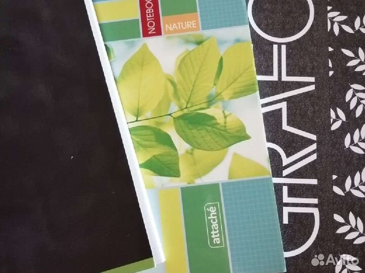 Тетрадь общая ф А4 новые