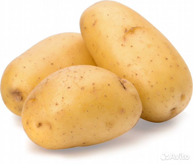 Картофель едовой