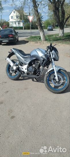 Stels flex 250