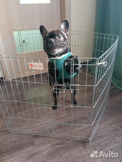 Вольер для собак