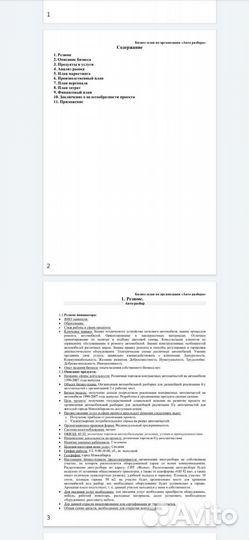 Бизнес-план для социального контракта