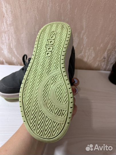 Кеды adidas