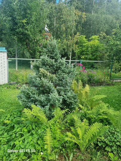 Дом 276 м² на участке 20 сот.