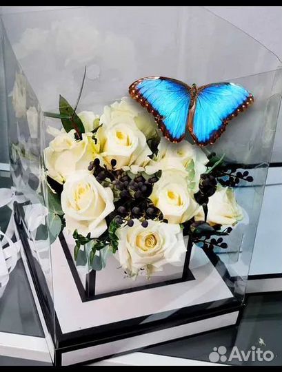 Живые бабочки с цветами или фермы бабочек