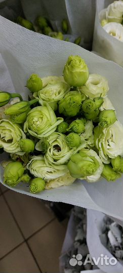 Букет Эустома