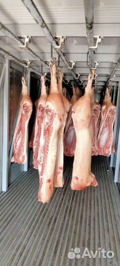 Мясо: Свинина без ноги разруб по 20кг