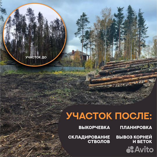 Спил деревьев. Корчевание пней. Расчистка участка