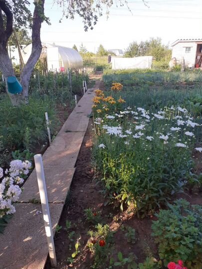 Дача 40 м² на участке 4 сот.