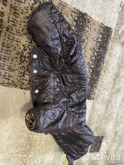 Комбинезоны на собаку