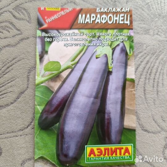 Рассада баклажан