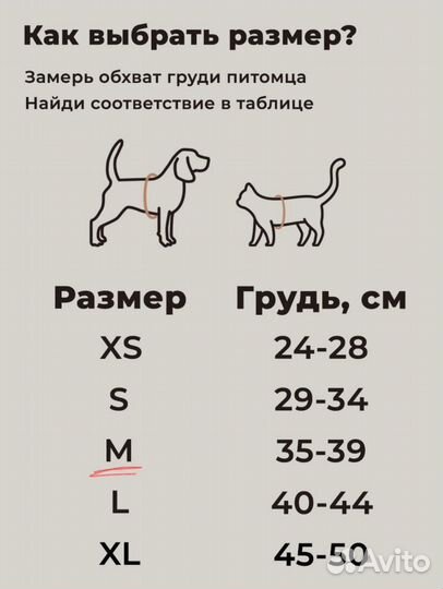 Шлейка с поводком для мелких пород собак и кошек