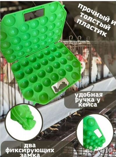 Контейнер для яиц