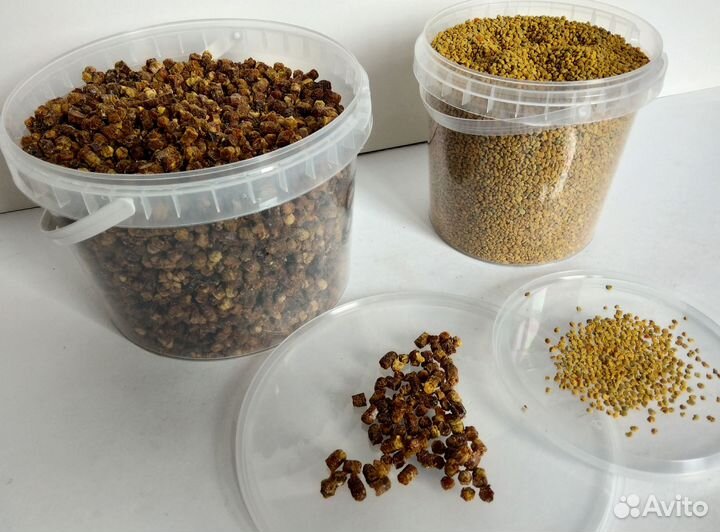 Свежие Пчелопродукты 2023 Перга/Пыльца/Прополис