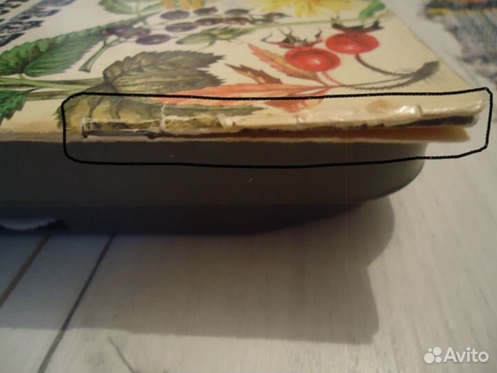 Брошюра лекарственные растения Мелик-Гусейнов