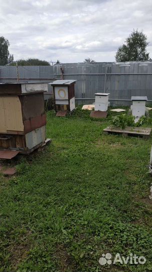 Продам ульи для пчел