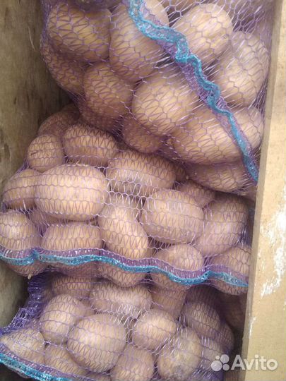 Картофель Коломбо