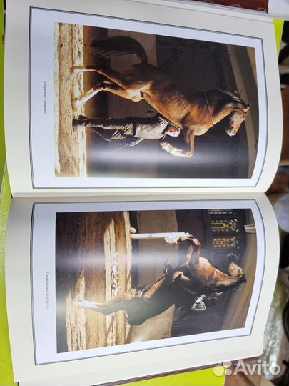 Энциклопедия лошади Невзорова