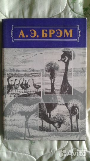 Книга энциклопедия