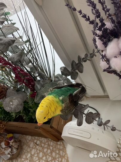 Декоративный Искусственный Волнистый попугайчик