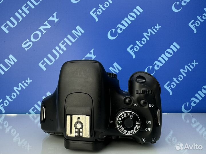 Canon 600d (4038)