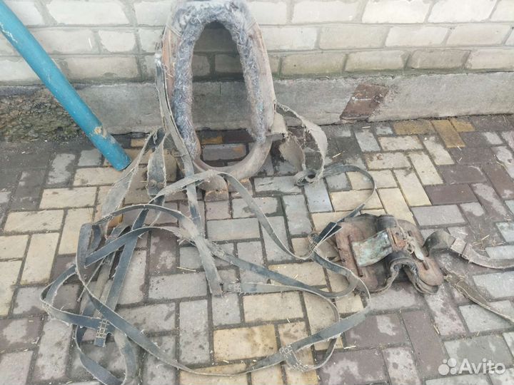 Сбруя для лошади