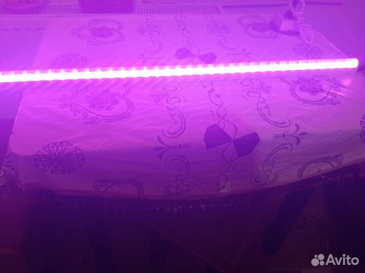 Фитолампа для растений