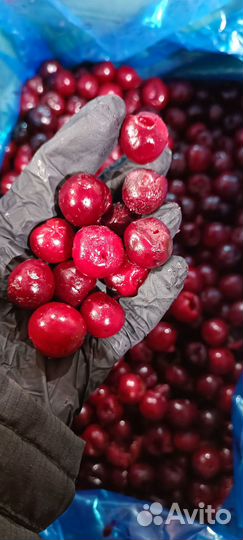 Вишня б/к 1 класс с/м коробка 10 кг (Сербия)