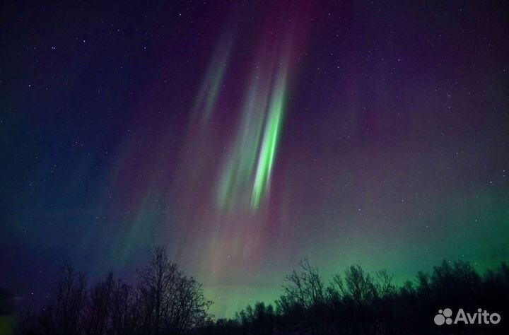 Охота за полярным сиянием с местным гидом