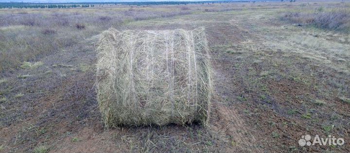 Сено в тюках