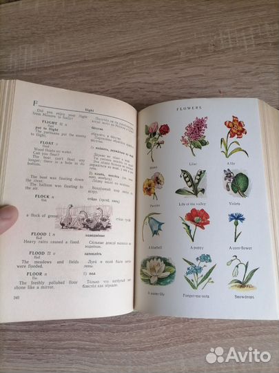 Англо-русский словарь с иллюстрациями. 1964г