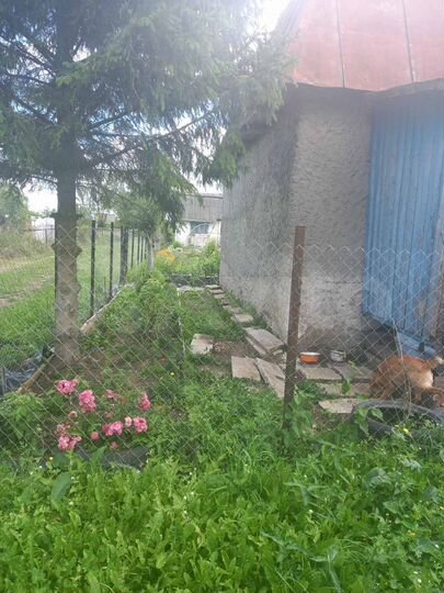 Участок 12 сот. (СНТ, ДНП)