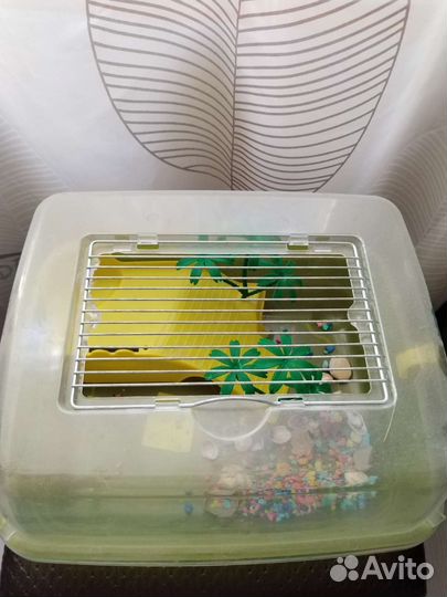 Аквариум для черепашки