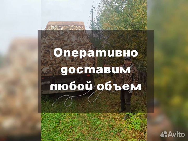 Дрова на дачу