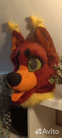 Фурсьют собака