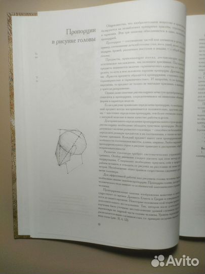 Голова человека. Основы академического рисунка