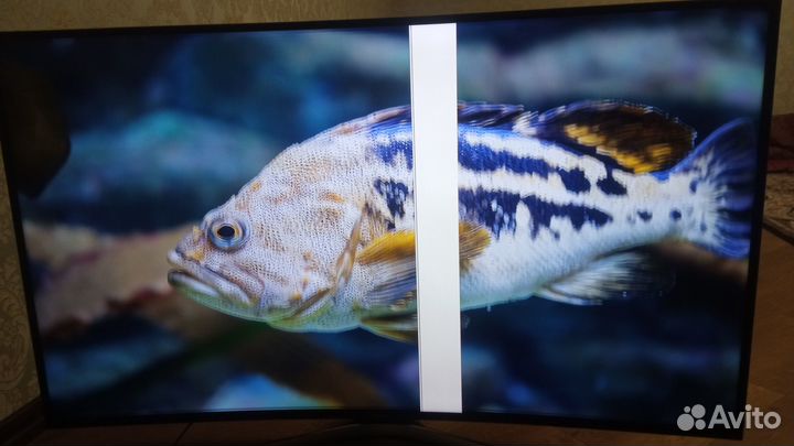Телевизор samsung SMART tv 65