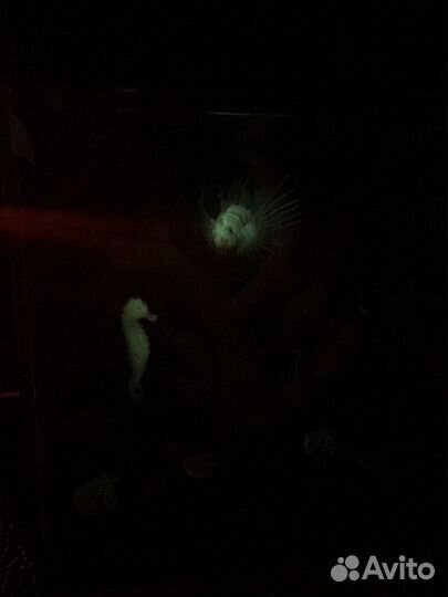 Аквариум 30 л(кубик)