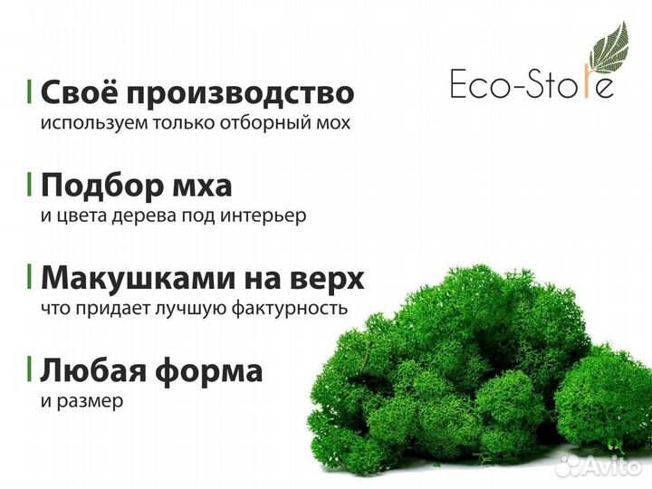 Бонсай из мха с подсветкой