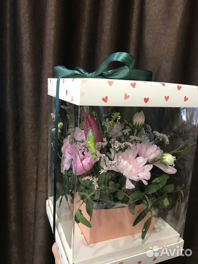 Бабочкарий из живых цветов