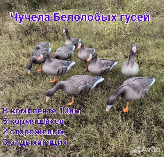 Чучела гусей Белолобых 3D 10 шт