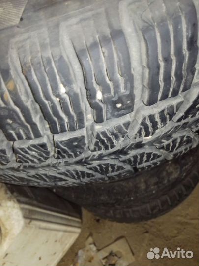 Белшина Бел-81 185/60 R14 19E