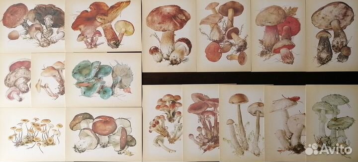 Открытки СССР