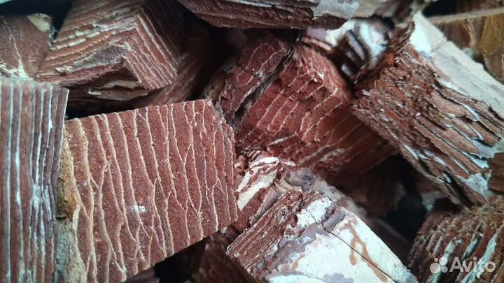 Кора крымской сосны