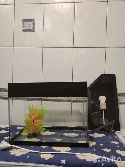 Аквариум с рыбками