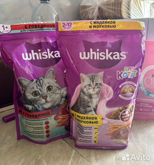 Корм для кошек